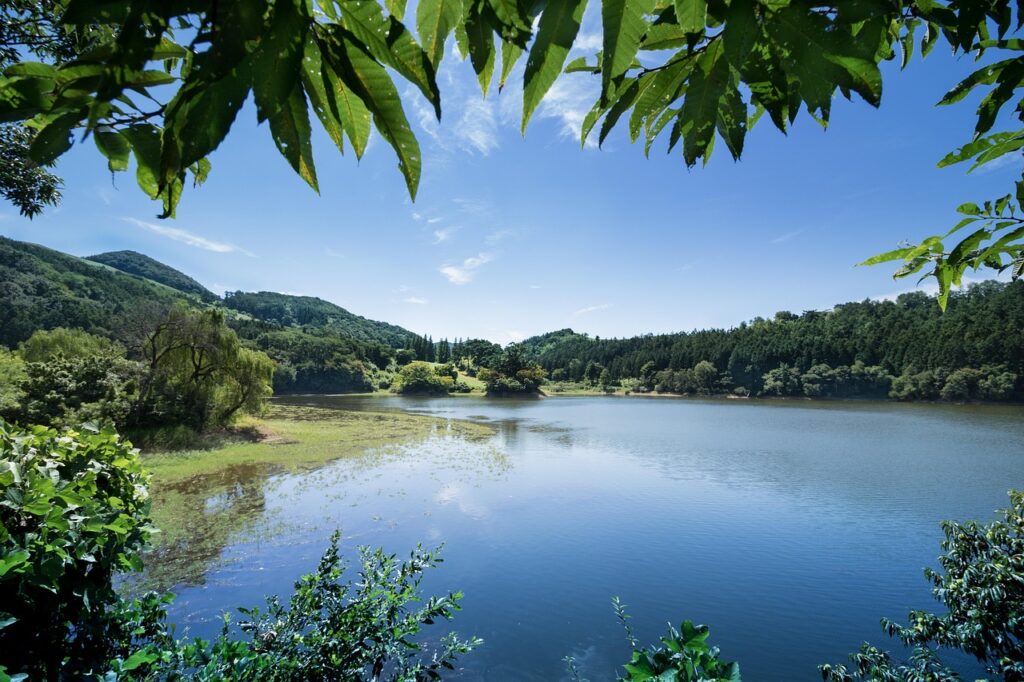 ご褒美旅行に最適なおすすめプランは？