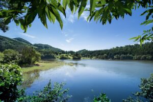 ご褒美旅行に最適なおすすめプランは？