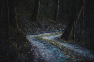 森の中で過ごす癒しの温泉宿はどこですか？