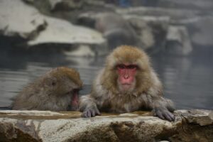 露天風呂付き客室は女性のご褒美に最適？どんな魅力があるのか徹底解説！