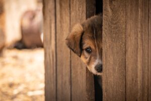 一人旅に最適なエステ付き宿のおすすめは？