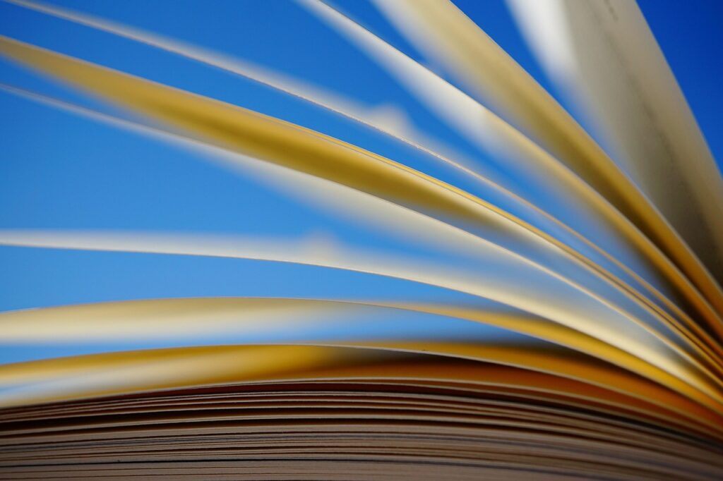 女性におすすめの読書ができる宿はどこ？