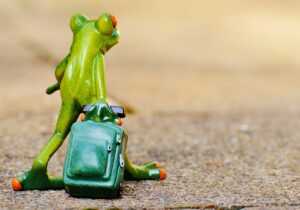 大人女子の旅行相場はどれくらいが妥当？
