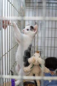 宿泊施設の相場はどのくらい？
